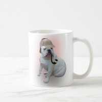 English bulldog