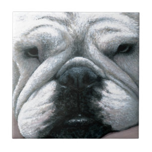 English Bulldog Dog 118 Tile