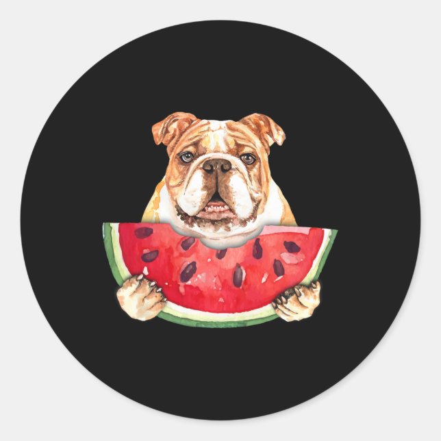 English Bulldog Dog And Watermelon Tropical Fruits Classic Round Sticker (Front)