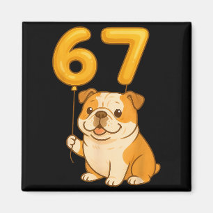 English Bulldog Dog Funny 67 Meme Six Seven Balloo Magnet