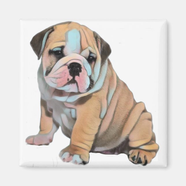 English Bulldog Dog Magnet (Front)