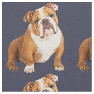 English Bulldog Dog pet art pop Fabric
