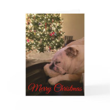English Bulldog Dreaming Christmas Card