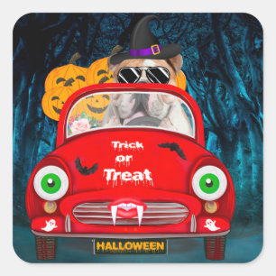 English Bulldog Driving Car Scary Halloween Square Sticker