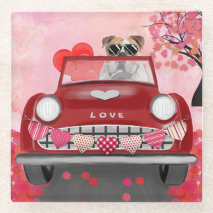 English Bulldog Driving Car with Hearts Valentine' Glass Coaster