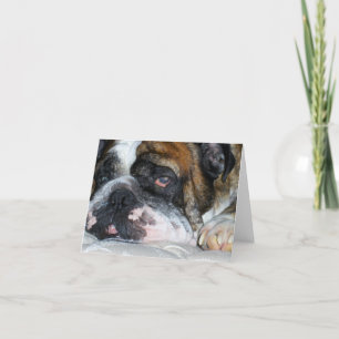 English bulldog folding note card