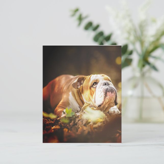 English Bulldog Forest Photo (Standing Front)