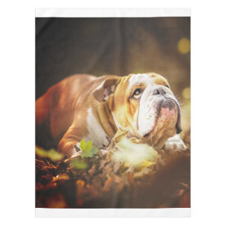 English Bulldog Forest Photo Tablecloth