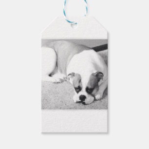 English Bulldog Gift Tag