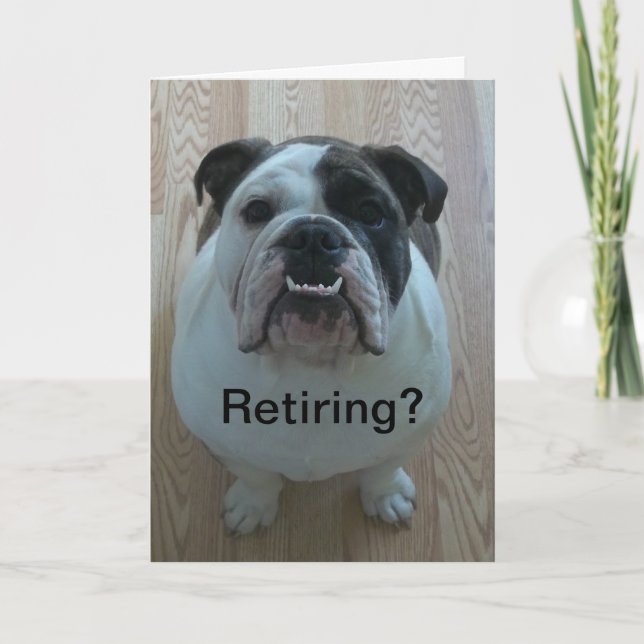 English bulldog happy retirement card! card (Front)