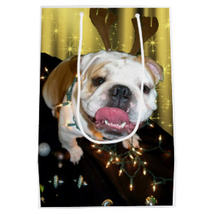 English bulldog holiday gift bag