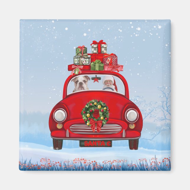 English Bulldog In Car With Santa Claus Magnet (Front)