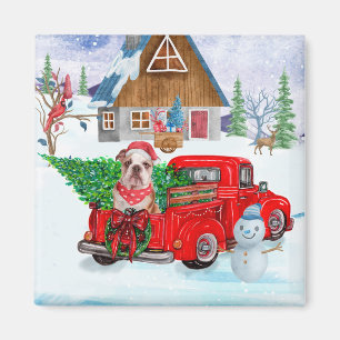 English Bulldog In Christmas Delivery Truck Snow Magnet