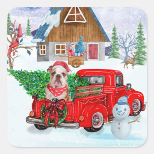English Bulldog In Christmas Delivery Truck Snow Square Sticker
