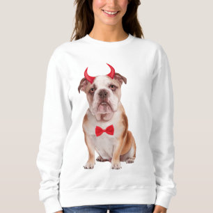 English Bulldog In Halloween Sweatshirt