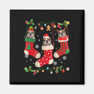 English Bulldog In Sock Christmas Santa X-mas Dog  Magnet