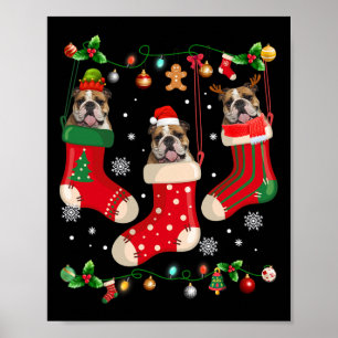 English Bulldog In Sock Christmas Santa X-mas Dog Poster