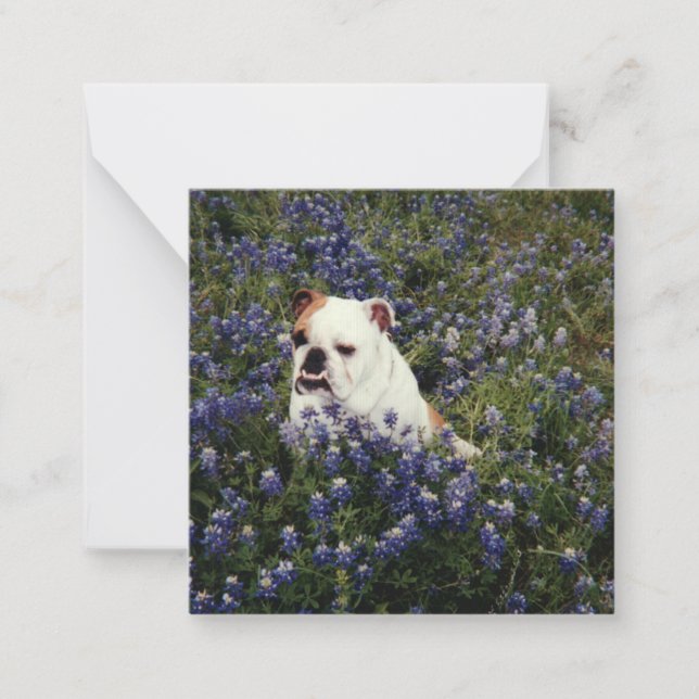 English Bulldog in Texas Bluebonnets Note Card (Front)