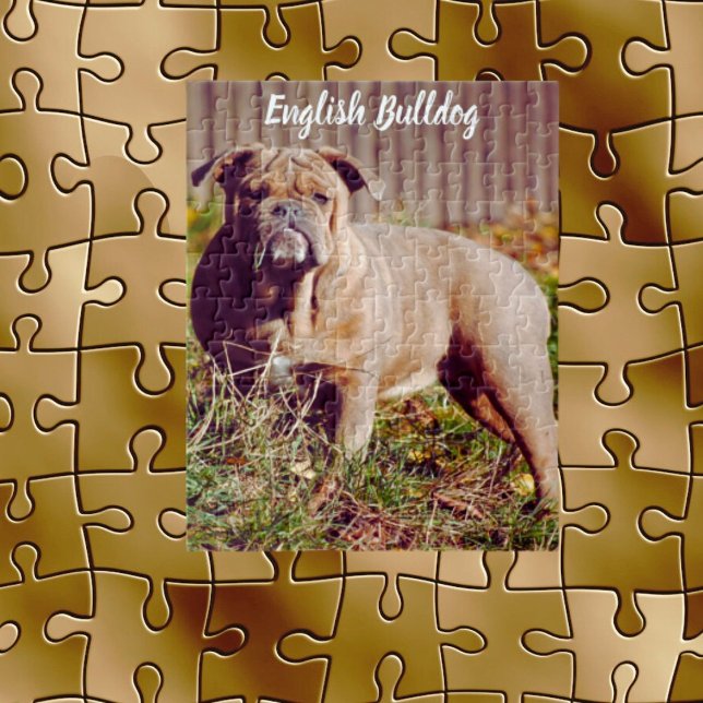 English Bulldog Jigsaw Puzzle Game (Creator Uploaded)