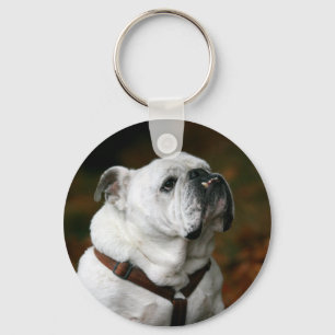 English Bulldog Keychain