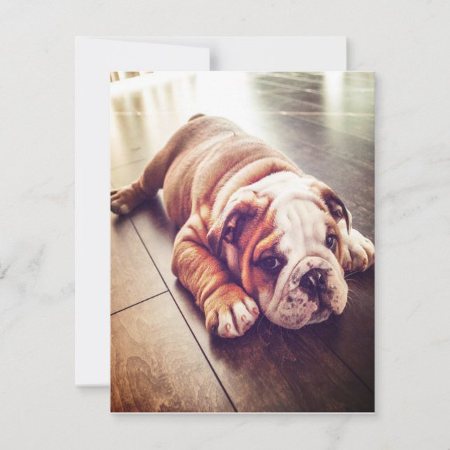 English Bulldog Lying Dog | Dog Photo Invitation (Front)