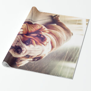 English Bulldog Lying Dog Dog Photo Wrapping Paper