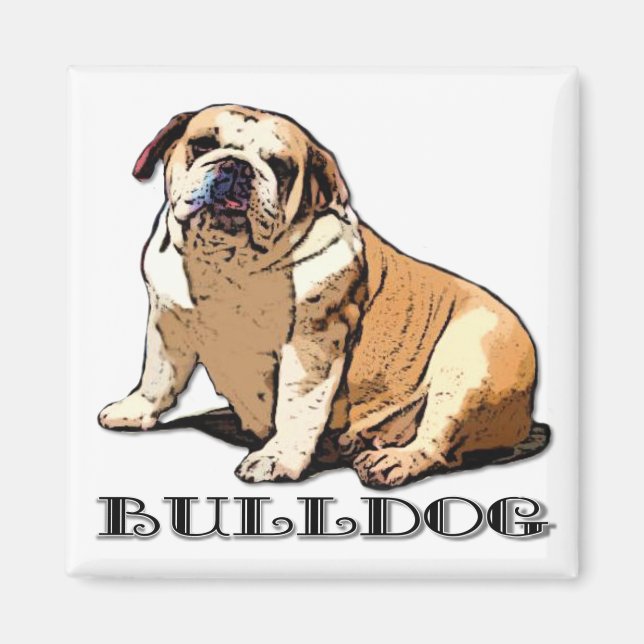 English Bulldog magnet (Front)