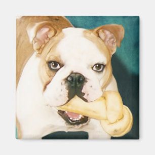 English Bulldog Magnet