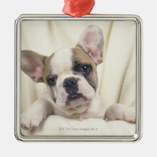 English Bulldog Metal Tree Decoration