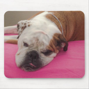 English Bulldog Mouse Pad