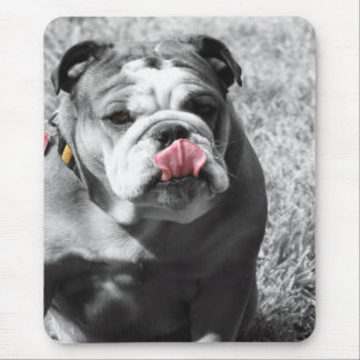 english bulldog mouse pad