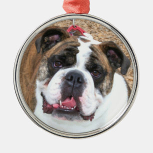 English bulldog ornament