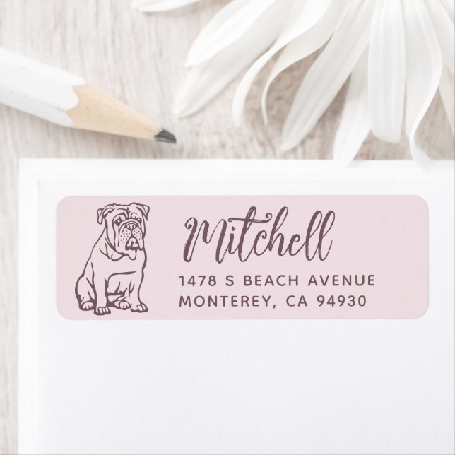 English Bulldog Owner Return Address Dog Owner (Insitu)