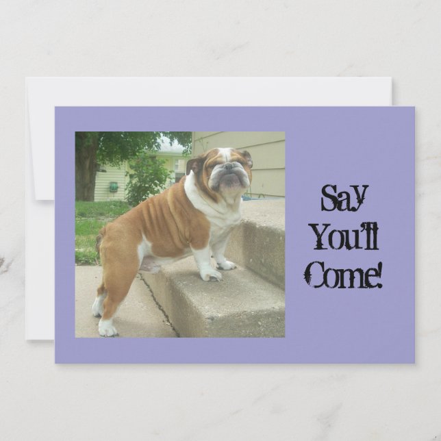 English Bulldog Party Invitations (Front)