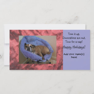 English Bulldog Photo Christmas Holiday Cards