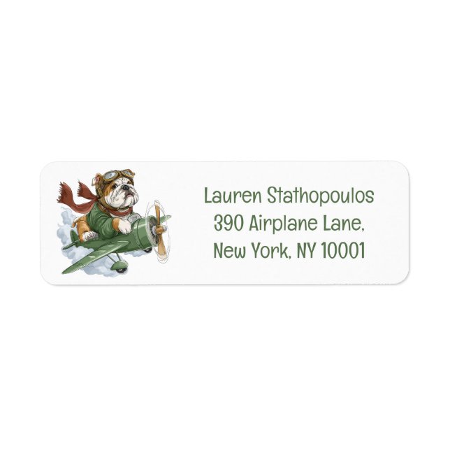 English Bulldog Pilot Aeroplane (Front)