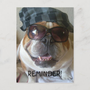 English Bulldog postcard reminder