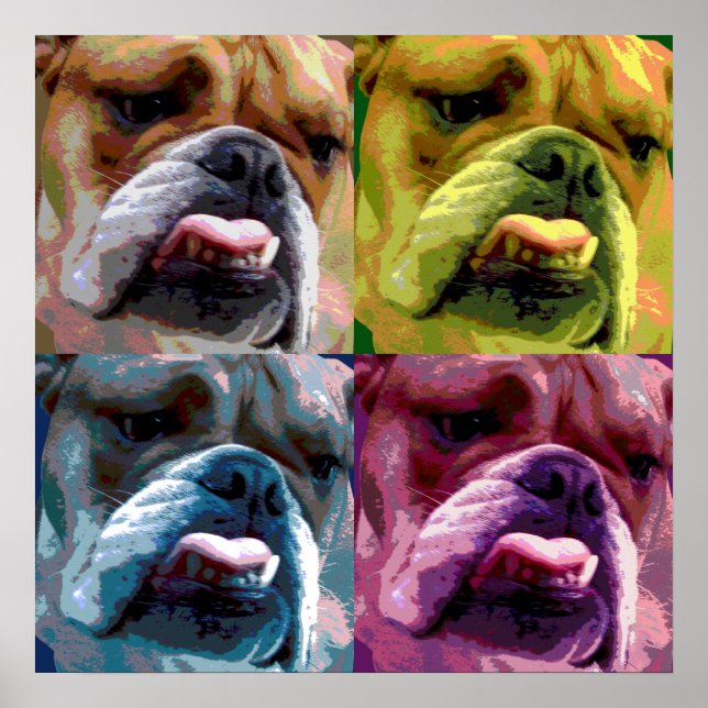 English bulldog poster (Front)