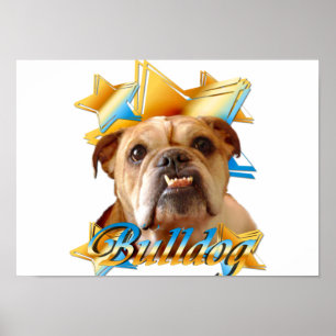 English bulldog poster