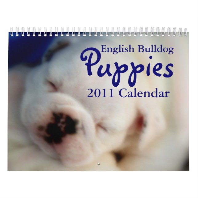 English Bulldog Puppies 2011 Calendar (Cover)