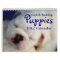 English Bulldog Puppies 2012 Calendar