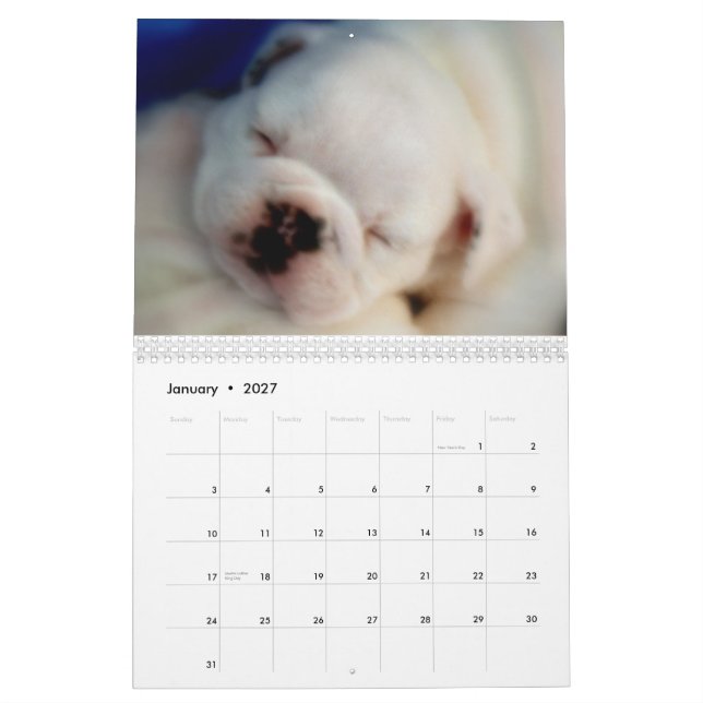 English Bulldog Puppies 2012 Calendar (Jan 2027)