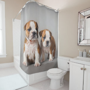 English Bulldog Puppies   Couple Cute Bulldog Shower Curtain