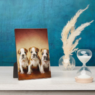 English Bulldog Puppies Really Cute Plaque