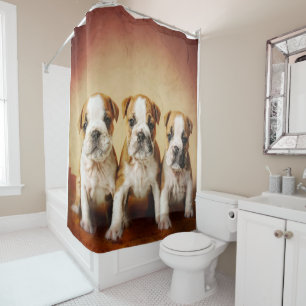 English Bulldog Puppies Really Cute Shower Curtain