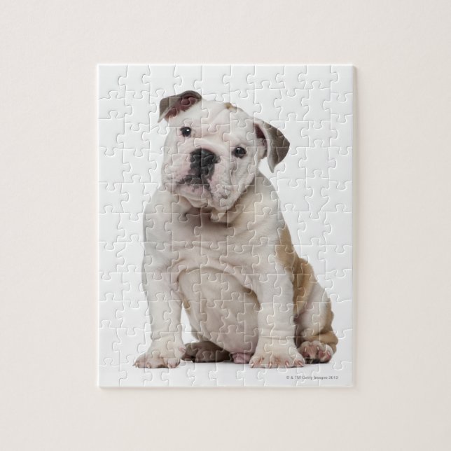 English bulldog puppy (2 months old) jigsaw puzzle (Vertical)