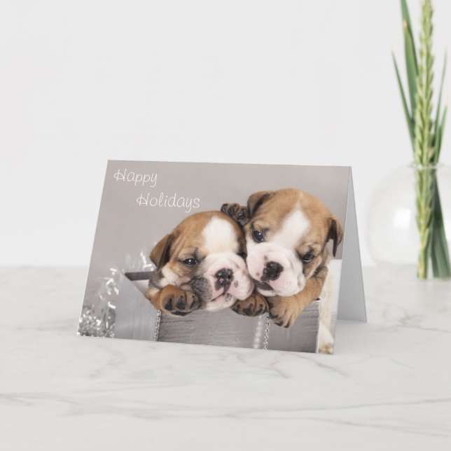 English Bulldog puppy and gifts Holiday Card (Front)