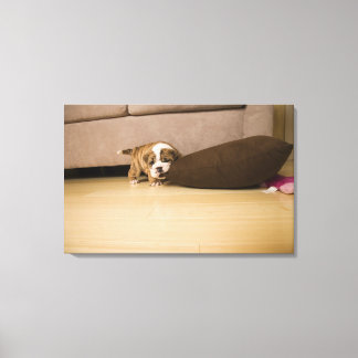 English Bulldog puppy biting pillow Canvas Print