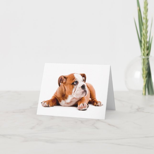 English Bulldog Puppy Blank Note Card (Front)