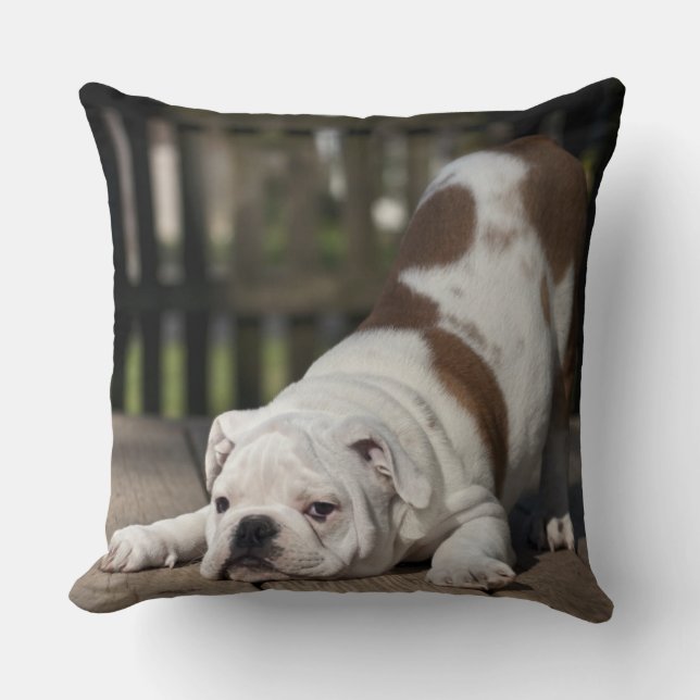 English Bulldog Puppy Cushion (Front)